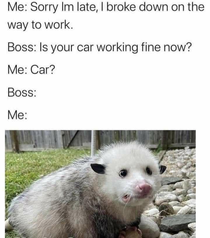 This meme is a humorous exchange between a person and their boss, where the person is late and claims to have broken down on the way to work. The boss asks if the car is working fine now, and the person responds with a photo of an opossum, implying that the car is still broken. The image is likely a picture of a cute, surprised-looking opossum with a caption "Me".